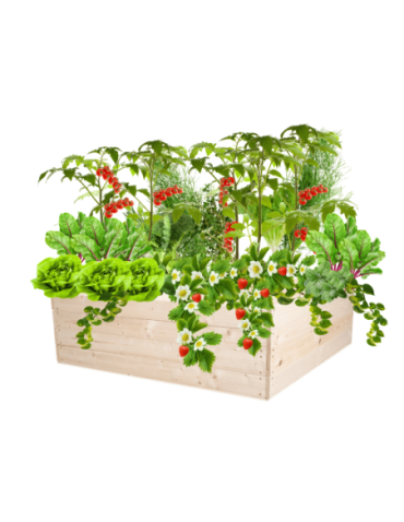 Uprawowe skrzynie ogrodowe- Warzywniaki- skrzynia do uprawy - Skrzynia na warzywa skrzynie na warzywniak inspekt donica grządka 36x120x117 - product 15