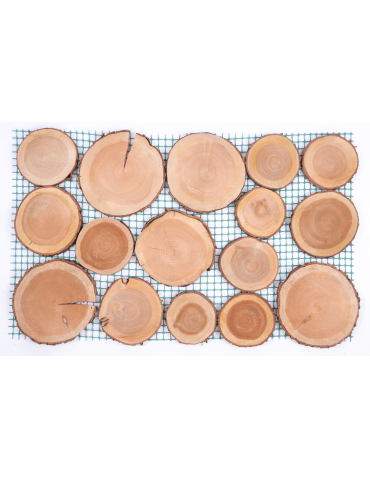 Ścieżka ogrodowa drewniana chodnik plastry drewna czeremcha ścieżki EKO - produkt 2