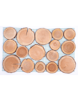 Ścieżka ogrodowa drewniana chodnik plastry drewna czeremcha ścieżki EKO - product 2