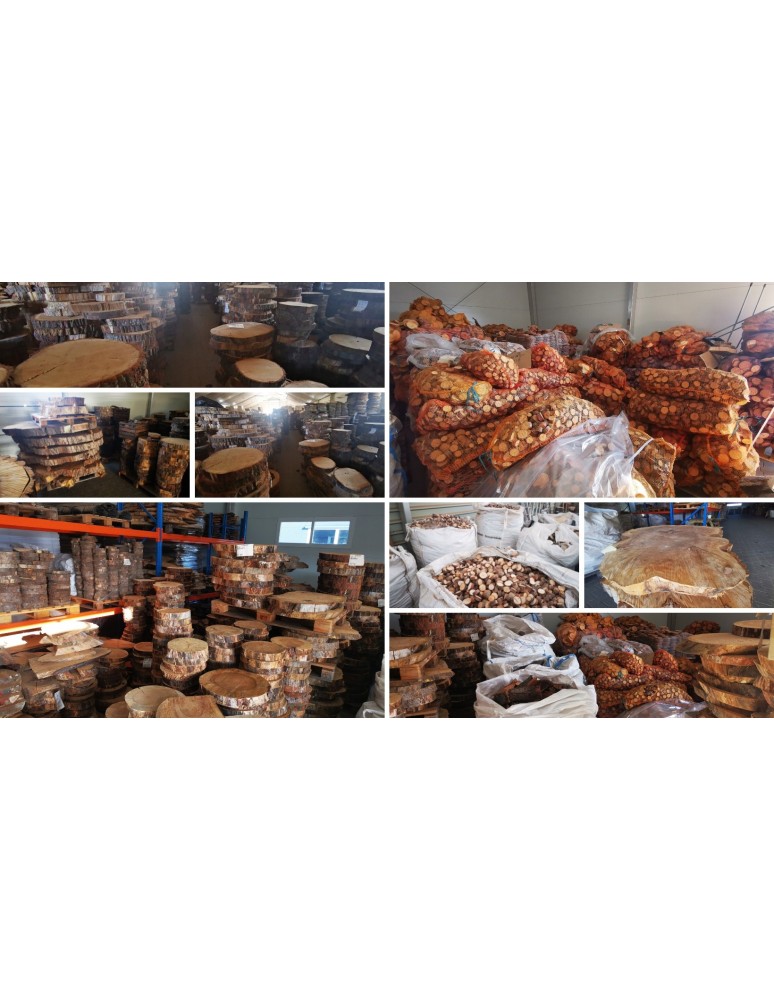 Plastry Drewna - Plaster drewna MODRZEW eliptyczny skośny dł.25-30cm taca ozdobna bez kory - product b2b.wamar.biz 12