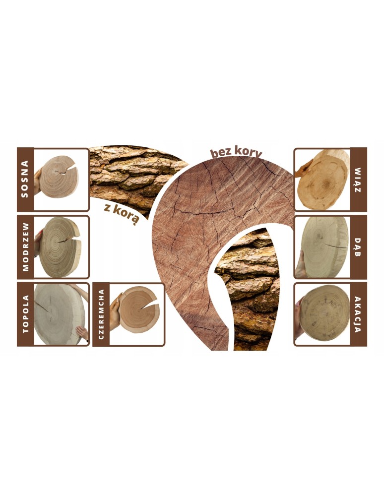 Plastry Drewna - Plaster drewna MODRZEW eliptyczny skośny dł.25-30cm taca ozdobna bez kory - product b2b.wamar.biz 13