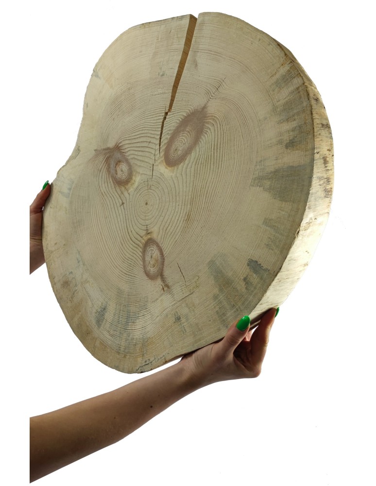 Plastry Eliptyczne - Plaster drewna bez kory SOSNA krążek drewniany sosnowy szlif 40-45cm gr.6cm - product b2b.wamar.biz 1