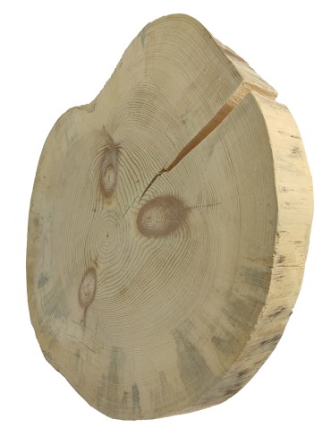 Plastry Eliptyczne - Plaster drewna bez kory SOSNA krążek drewniany sosnowy szlif 40-45cm gr.6cm - product 3