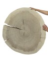 Plaster drewna topoli blat drewniany na stolik kawowy TOPOLA UNIKAT 150146