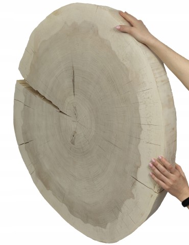 Plaster drewna topoli blat drewniany na stolik kawowy TOPOLA UNIKAT 150146 - product 2