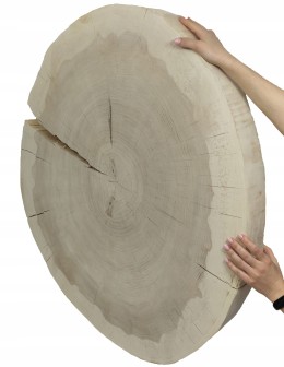 Plaster drewna topoli blat drewniany na stolik kawowy TOPOLA UNIKAT 150146 - product 2