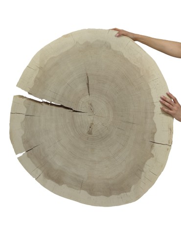 Plaster drewna topoli blat drewniany na stolik kawowy TOPOLA UNIKAT 150146