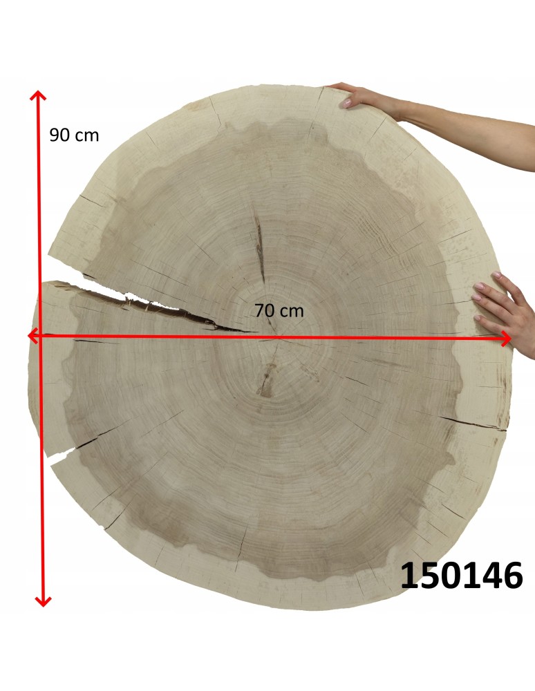 Blaty - Plaster drewna topoli blat drewniany na stolik kawowy TOPOLA UNIKAT 150146 - produkt b2b.wamar.biz 3