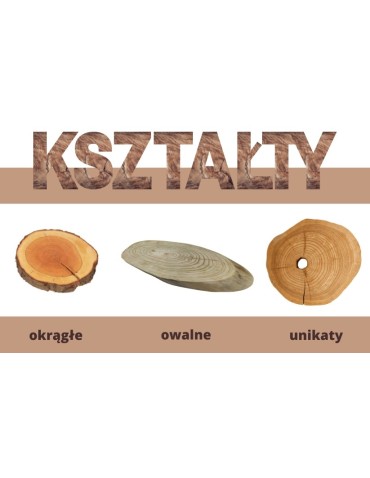 Plastry Unikatowe - Plaster drewna blat na stolik kawowy SOSNA plaster sosnowy 74cm nr.111109 - product 8