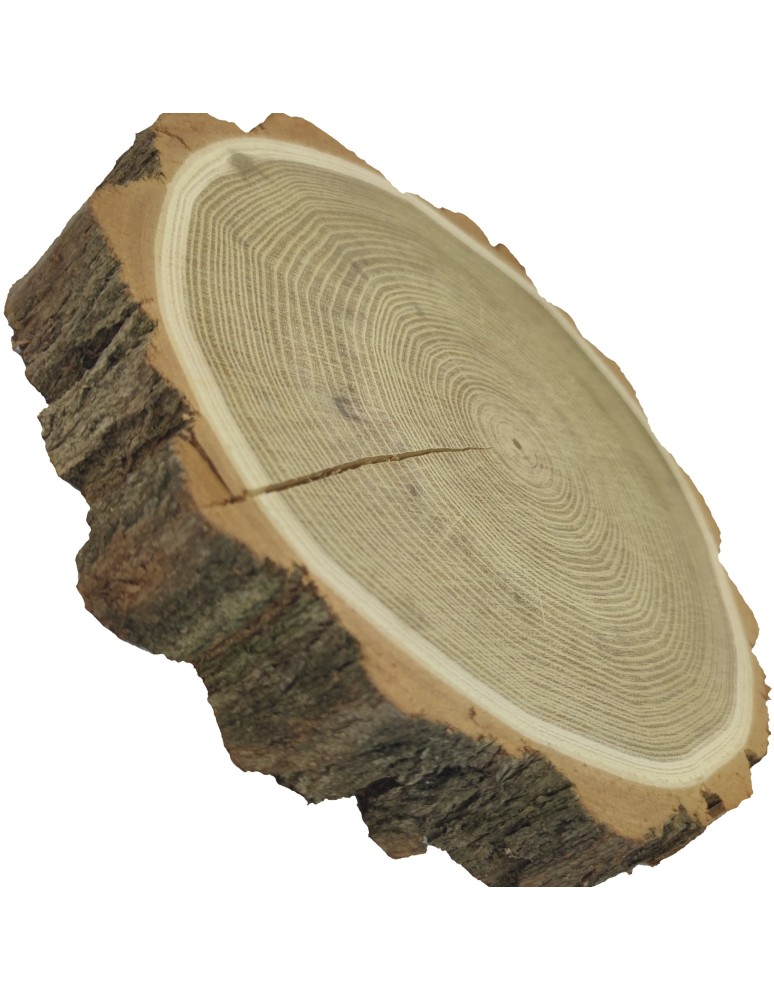 Tace Obrotowe - Zestaw DIY do samodzielnego wykonania TACA OBROTOWA AKACJA 30-35cm PATERA - produkt b2b.wamar.biz 3