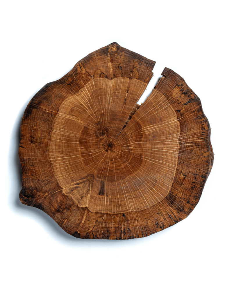 Tace Obrotowe - Zestaw DIY do samodzielnego wykonania TACA OBROTOWA DĄB 30-35cm PATERA - product b2b.wamar.biz 3