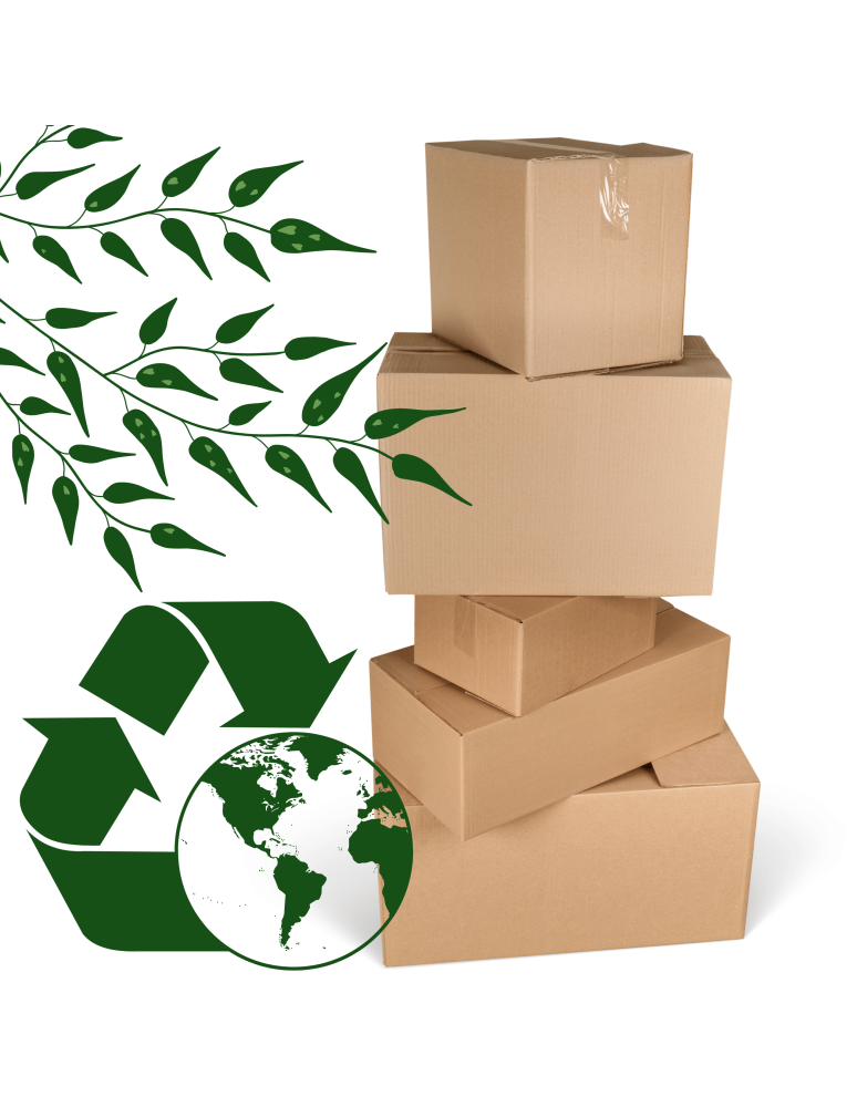 Regały do wina RW31 - Stojak na wino butelki napoje regał na butelki wino szafka na alkohol 12but - product b2b.wamar.biz 10