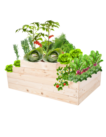 Skrzynia na warzywa kaskadowa skrzynie na warzywniak regulacja 45x117x80 - product 2