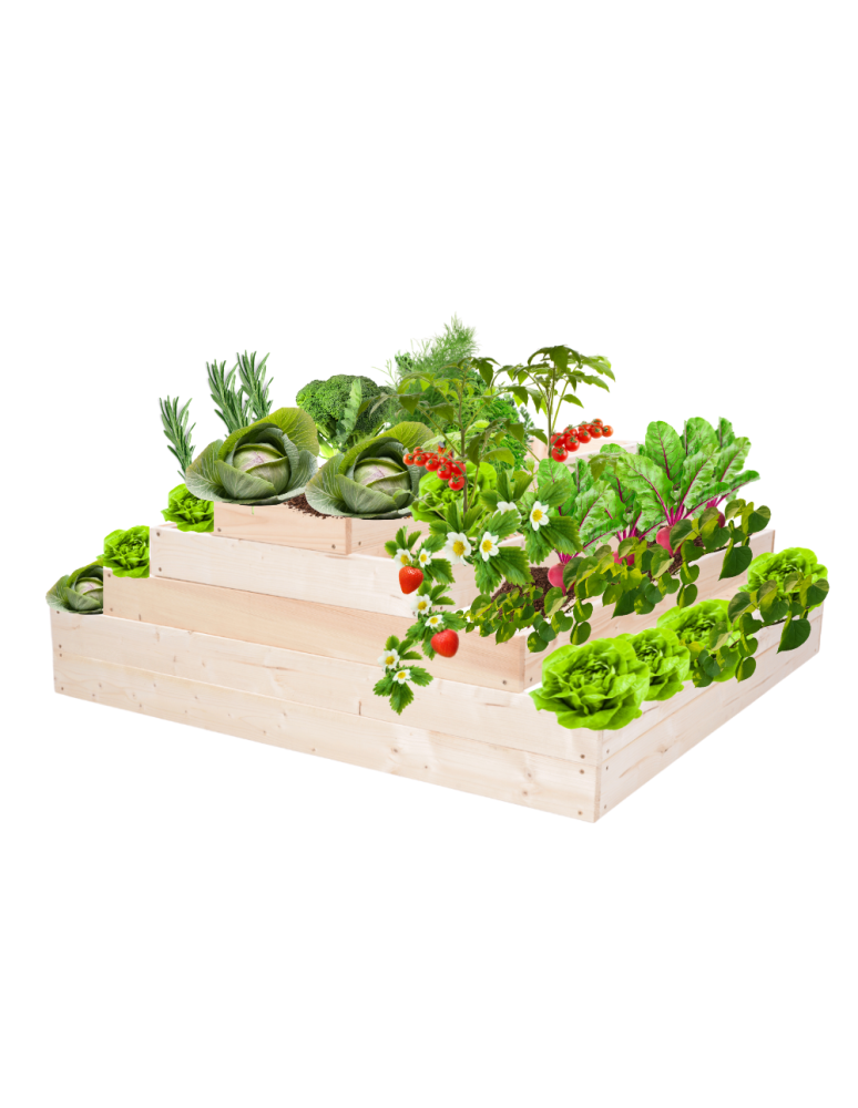 Grządki kaskadowe - Skrzynia na warzywa kaskadowa skrzynie na warzywniak regulacja 45x117x120 - product b2b.wamar.biz 2