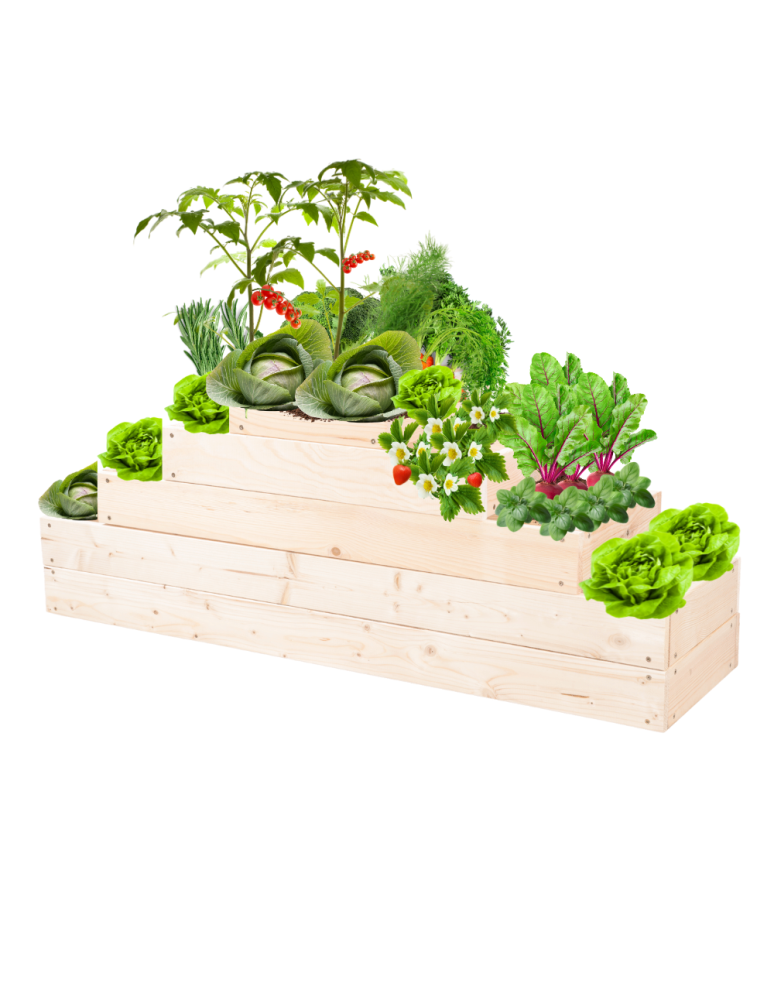 Grządki kaskadowe - Skrzynia na warzywa kaskadowa skrzynie na warzywniak regulacja 45x117x30 - product b2b.wamar.biz 2