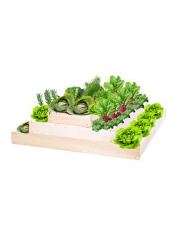 Skrzynia na warzywa regulowana skrzynie na warzywniak inspekt 27x90x120 - product 2