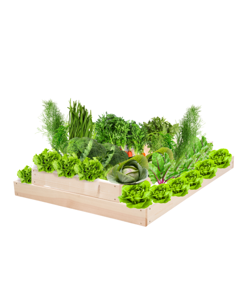 Grządki kaskadowe - Skrzynia na warzywa regulowana skrzynie na warzywniak inspekt 18x90x120 - product b2b.wamar.biz 2