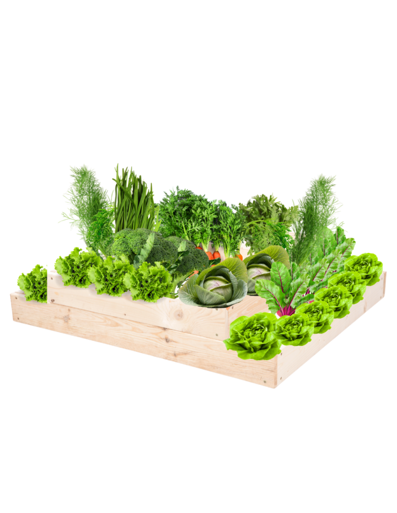 Grządki kaskadowe - Skrzynia na warzywa regulowana skrzynie na warzywniak inspekt 18x90x60 - produkt b2b.wamar.biz 2