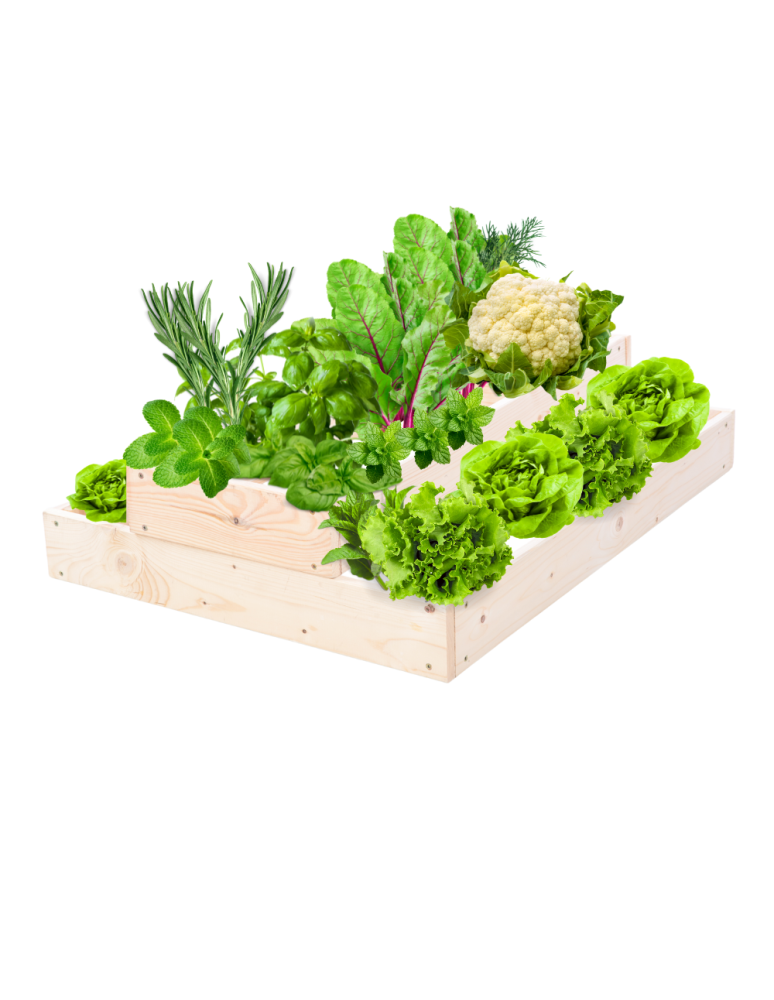 Grządki kaskadowe - Skrzynia na warzywa regulowana skrzynie na warzywniak inspekt 18x60x80 - product b2b.wamar.biz 2