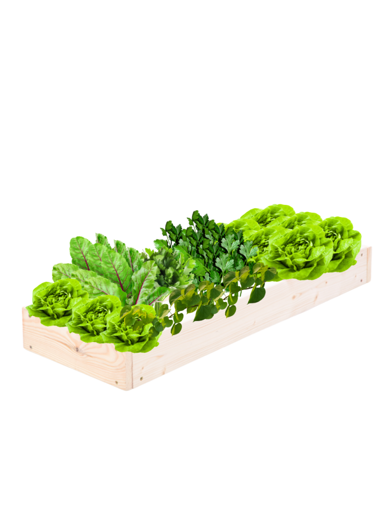 Grządki kaskadowe - Skrzynia na warzywa regulowana skrzynie na warzywniak donice 9x30x90 - produkt b2b.wamar.biz 2