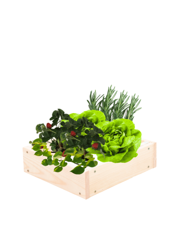 Skrzynia na warzywa regulowana skrzynie na warzywniak donice 9x30x30 - product 2