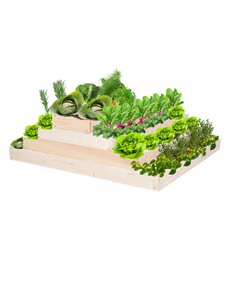 Grządki kaskadowe - Skrzynia na warzywa regulowana skrzynie na warzywniak donica 36x117x100 - product b2b.wamar.biz 2