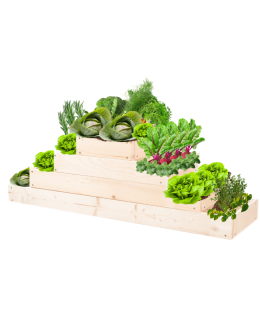 Skrzynia na warzywa regulowana skrzynie na warzywniak donica 36x117x30 - product 2