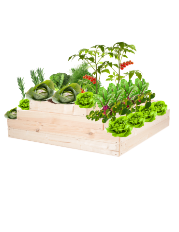 Skrzynia na warzywa regulowana skrzynie na warzywniak donica 36x117x100 - produkt 2