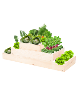 Grządka na warzywa regulowana skrzynie na warzywniak inspekt 27x117x30 - product 2