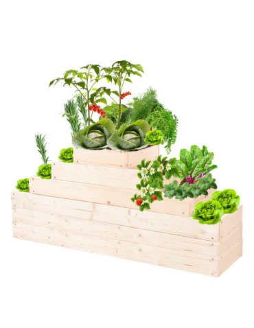 Grządka na warzywa regulowana skrzynie na warzywniak inspekt 54x117x30 - produkt 2