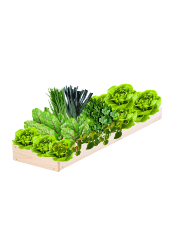 Skrzynia na warzywa regulowana skrzynie na warzywniak donice 9x30x100 - produkt 2