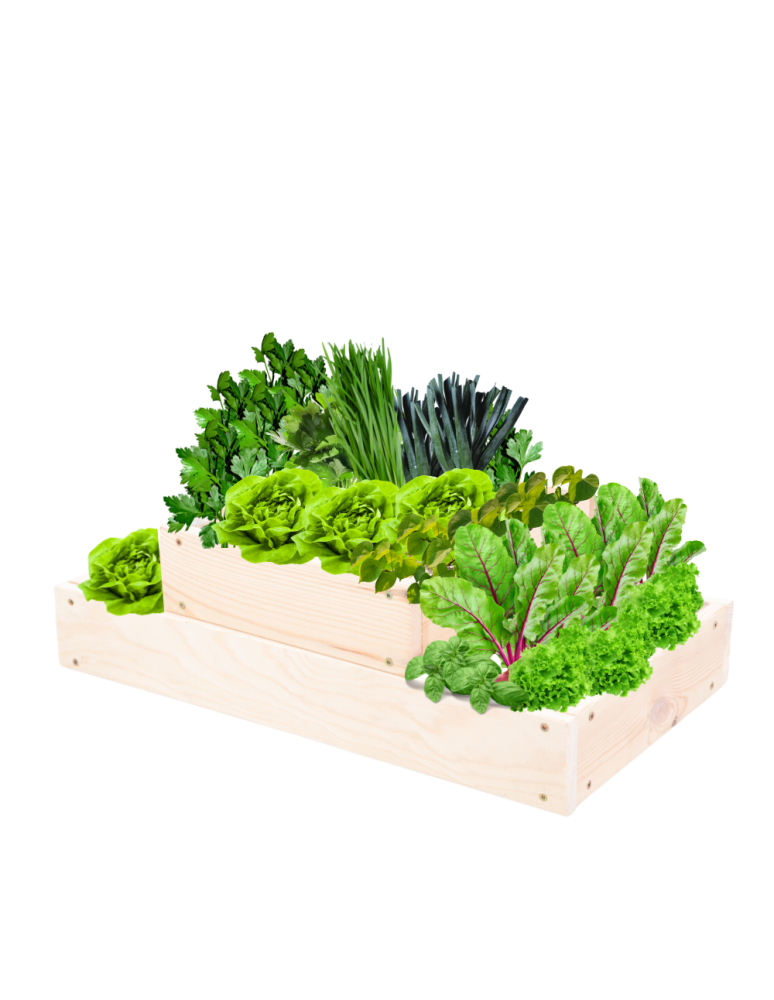 Grządki kaskadowe - Skrzynia na warzywa regulowana skrzynie na warzywniak donice 18x60x30 - product b2b.wamar.biz 2