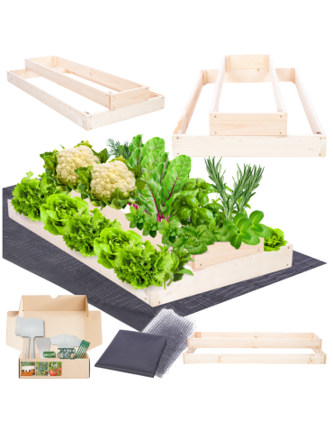 Skrzynia na warzywa regulowana skrzynie na warzywniak inspekt 18x60x100