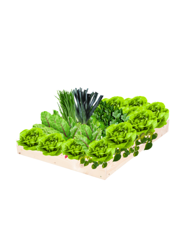 Skrzynia na warzywa regulowana skrzynie na warzywniak inspekt 9x90x80 - produkt 2