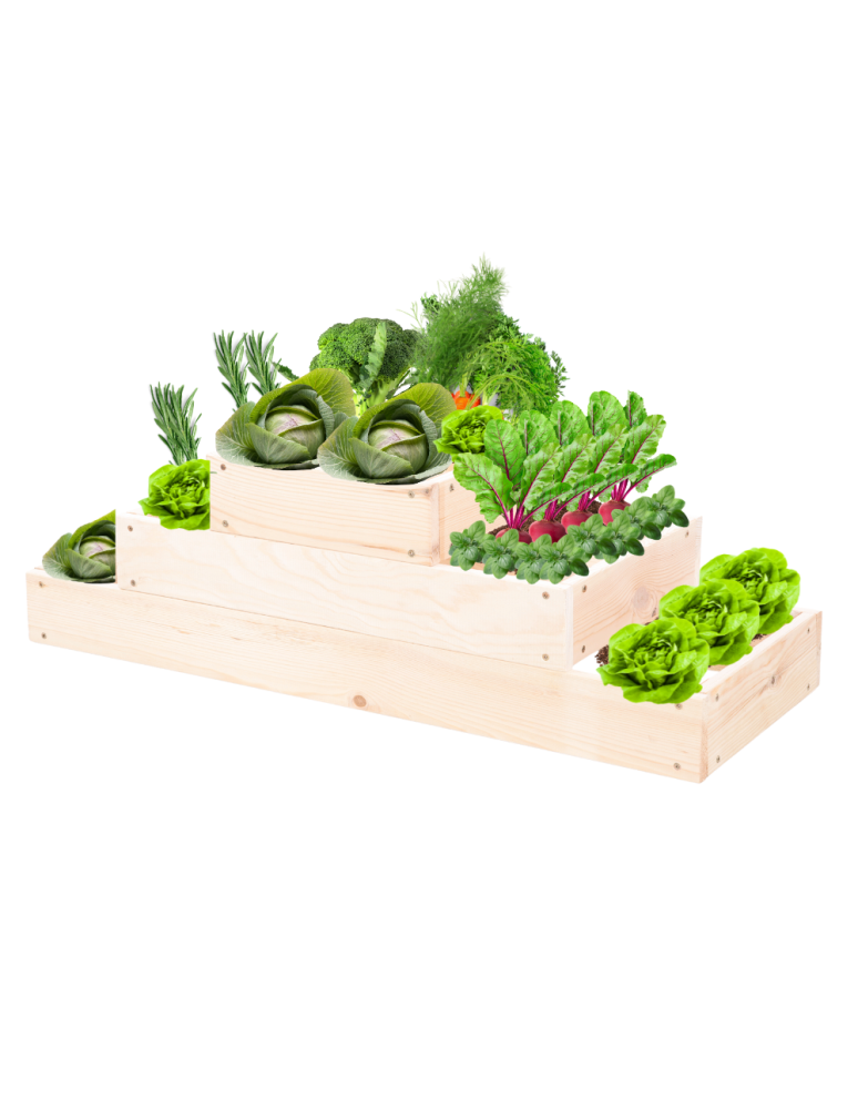 Grządki kaskadowe - Skrzynia na warzywa regulowana skrzynie na warzywniak inspekt 27x90x30 - product b2b.wamar.biz 2