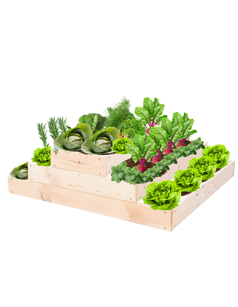 Grządki kaskadowe - Skrzynia na warzywa regulowana skrzynie na warzywnik inspekt 27x117x80 - product b2b.wamar.biz 2