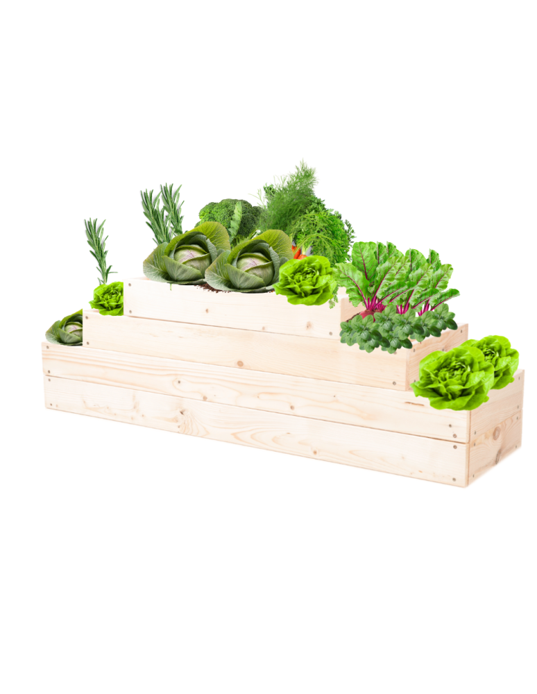 Grządki kaskadowe - Skrzynia na warzywa regulowana skrzynie na warzywnik inspekt 36x117x30 - product b2b.wamar.biz 2