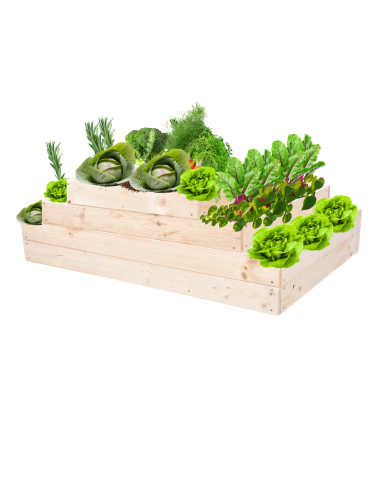 Skrzynia na warzywa regulowana skrzynie na warzywnik inspekt 36x117x60 - product 2