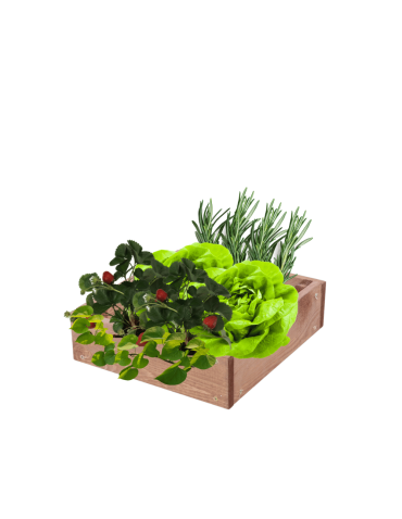 Skrzynia na warzywa regulowana skrzynie na warzywniak donice 9x30x30 - product 2