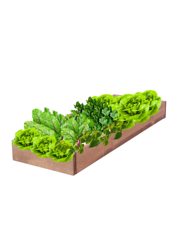 Skrzynia na warzywa regulowana skrzynie na warzywniak donice 9x30x60 - produkt 2