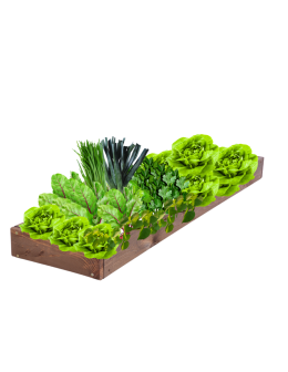 Skrzynia na warzywa regulowana skrzynie na warzywniak donice 9x30x100 - product 2