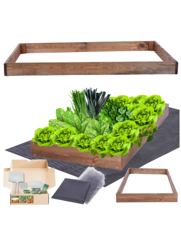 Skrzynia na warzywa regulowana skrzynie na warzywniak inspekt 9x60x60