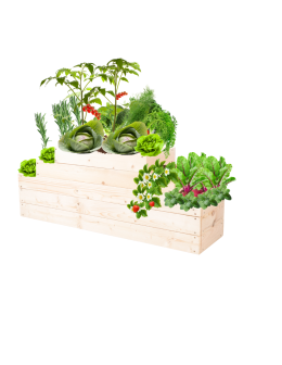 Skrzynia na warzywa kaskadowa skrzynie na warzywniak regulacja 45x117x30 - product 2