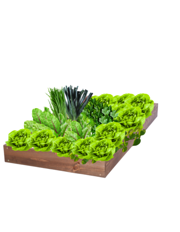 Skrzynia na warzywa regulowana skrzynie na warzywniak inspekt 9x60x80 - product 2