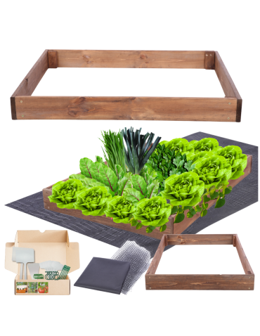 Skrzynia na warzywa regulowana skrzynie na warzywniak inspekt 9x60x120