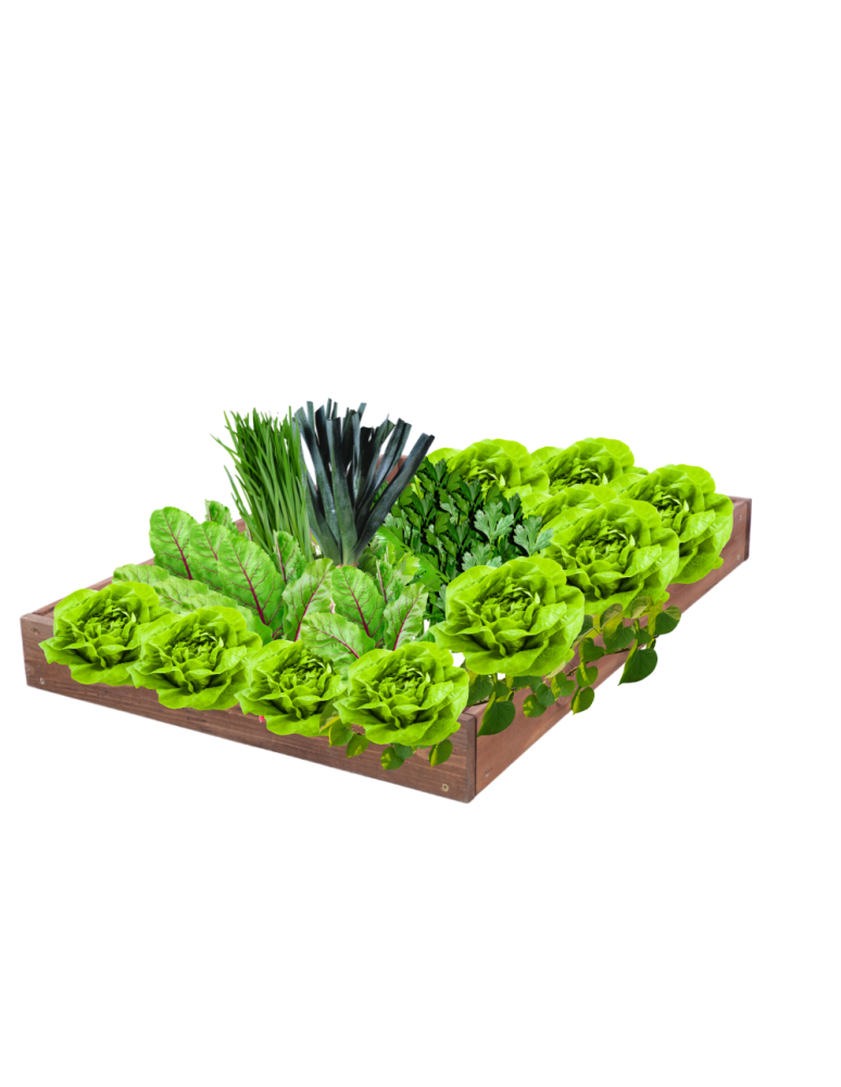 Grządki kaskadowe - Skrzynia na warzywa regulowana skrzynie na warzywniak inspekt 9x60x120 - product b2b.wamar.biz 2