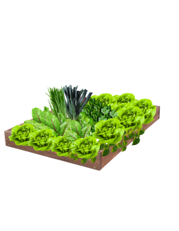 Skrzynia na warzywa regulowana skrzynie na warzywniak inspekt 9x60x120 - product 2