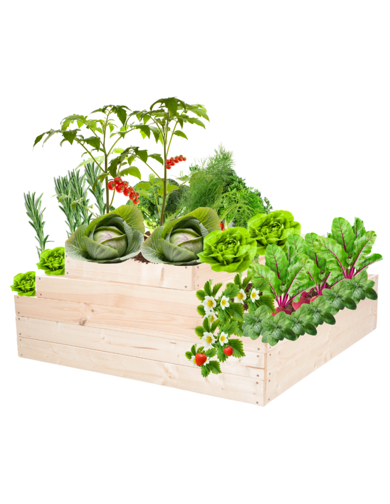 Grządki kaskadowe - Skrzynia na warzywa regulowana skrzynie na warzywniak inspekt 45x117x120 - product b2b.wamar.biz 2