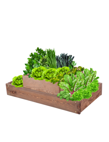 Skrzynia na warzywa regulowana skrzynie na warzywniak donice 18x60x30 - product 2