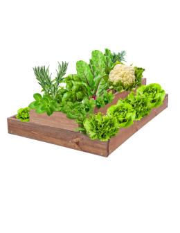 Skrzynia na warzywa regulowana skrzynie na warzywniak inspekt 18x60x80 - product 2